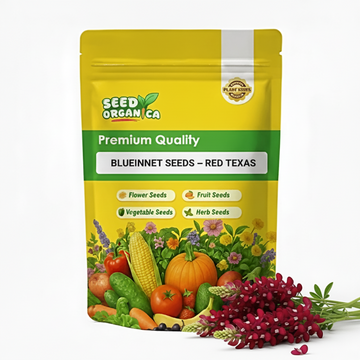 Bluebonnet Seeds – Red Texas