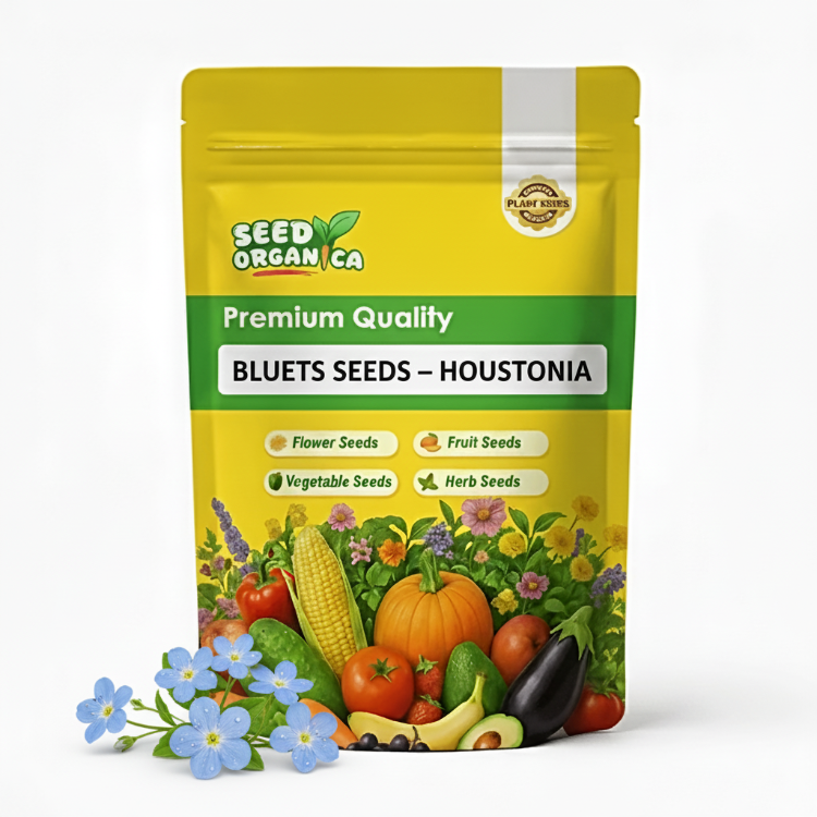 Bluets Seeds – Houstonia