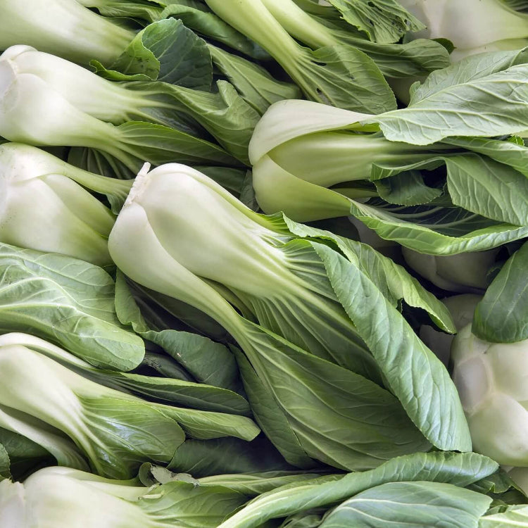 Bok Choy Seeds – Canton