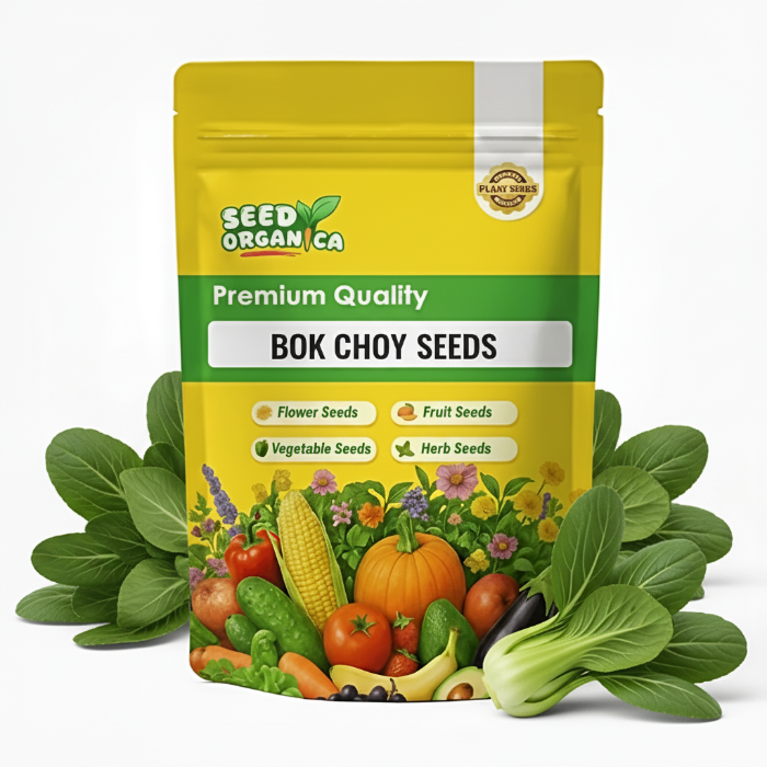 Bok Choy Seeds