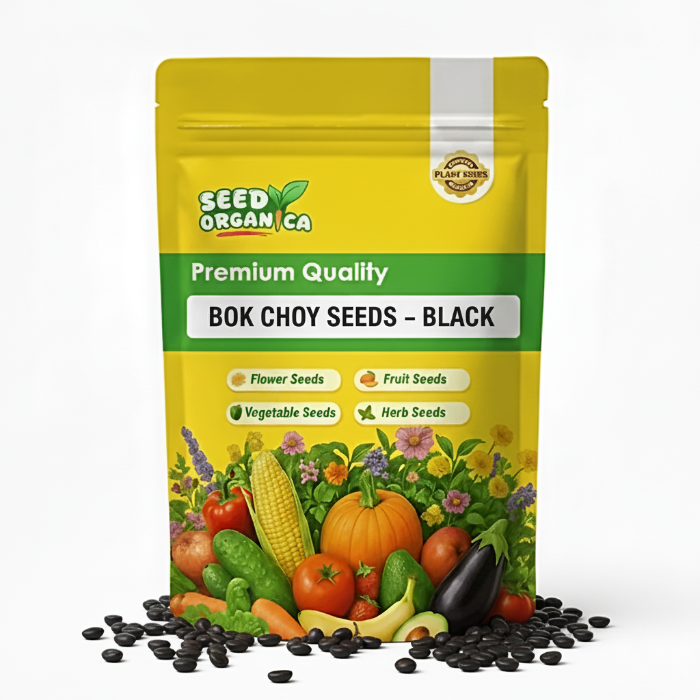 Bok Choy Seeds – Black