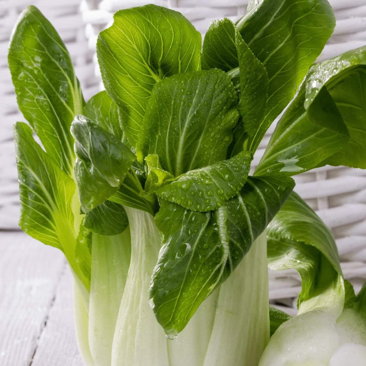 Bok Choy Seeds – Canton