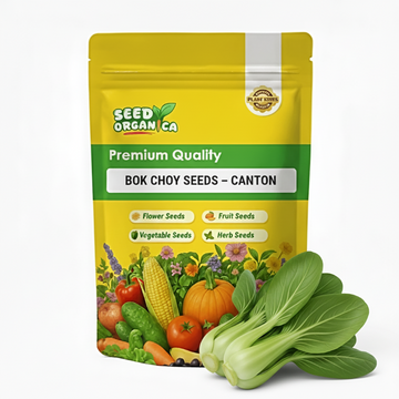 Bok Choy Seeds – Canton
