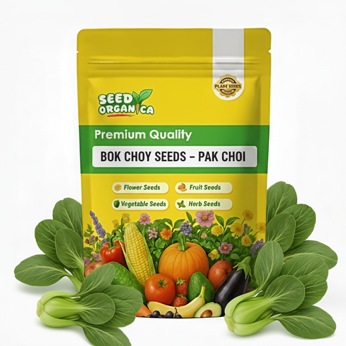 Bok Choy Seeds – Pak Choi
