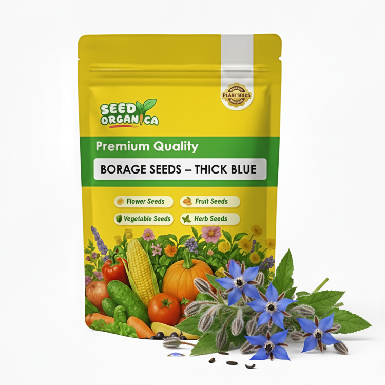 Borage Seeds - Thick Blue