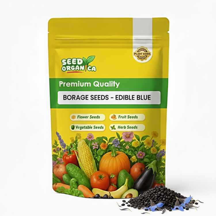 Borage Seeds – Edible Blue