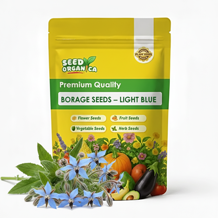 Borage Seeds – Light Blue