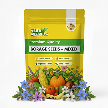 Borage Seeds – Mixed