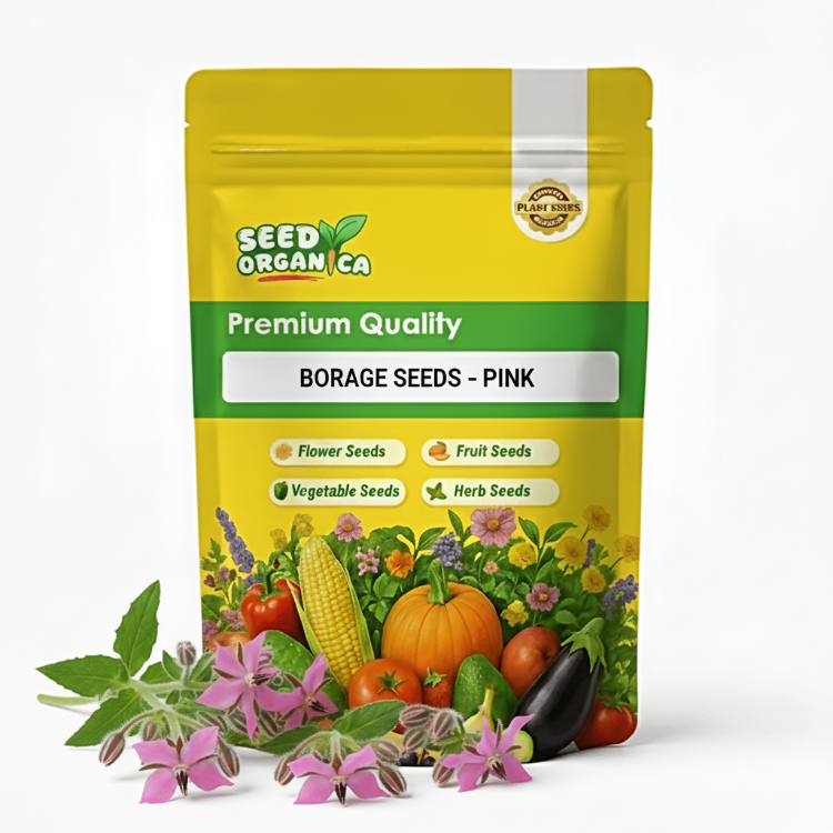 Pink Borage Seeds | Charming Garden Flowers