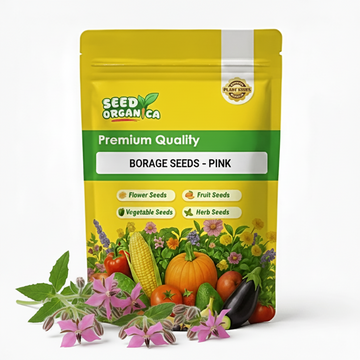 Borage Seeds – Pink