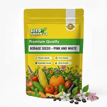 Borage Seeds – Pink and White