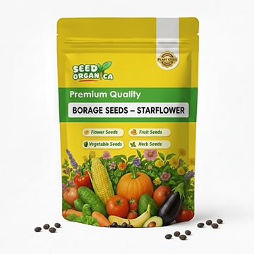 Borage Seeds – Starflower