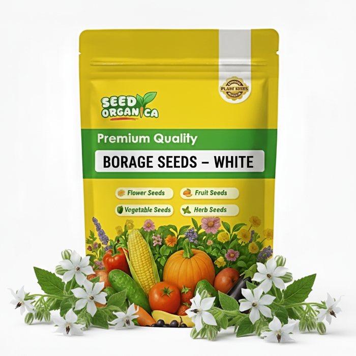 Borage Seeds – White