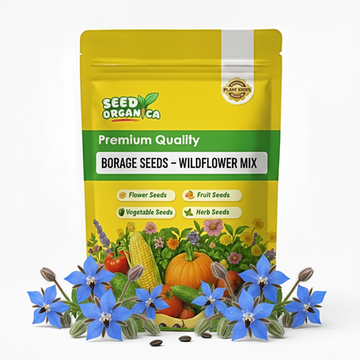 Borage Seeds – Wildflower Mix