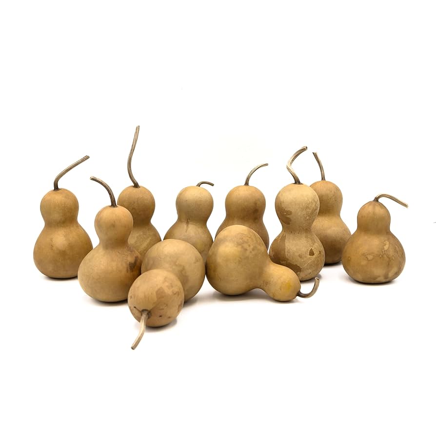 Bottle Gourd Seeds – Brown
