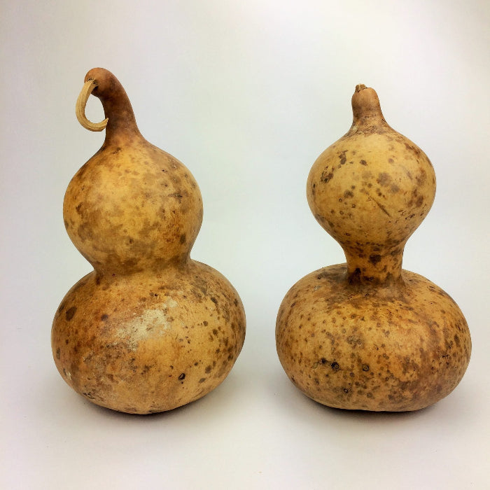 Bottle Gourd Seeds – Brown
