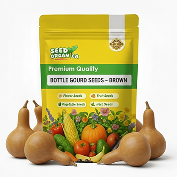 Bottle Gourd Seeds – Brown