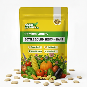 Bottle Gourd Seeds – Giant