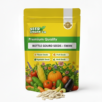 Bottle Gourd Seeds – Swan