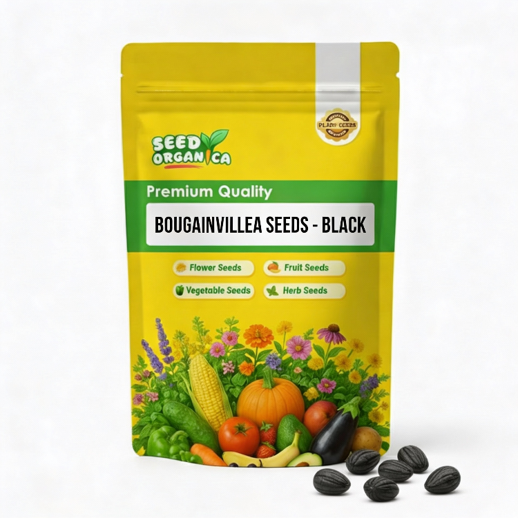 Bougainvillea Seeds – Black