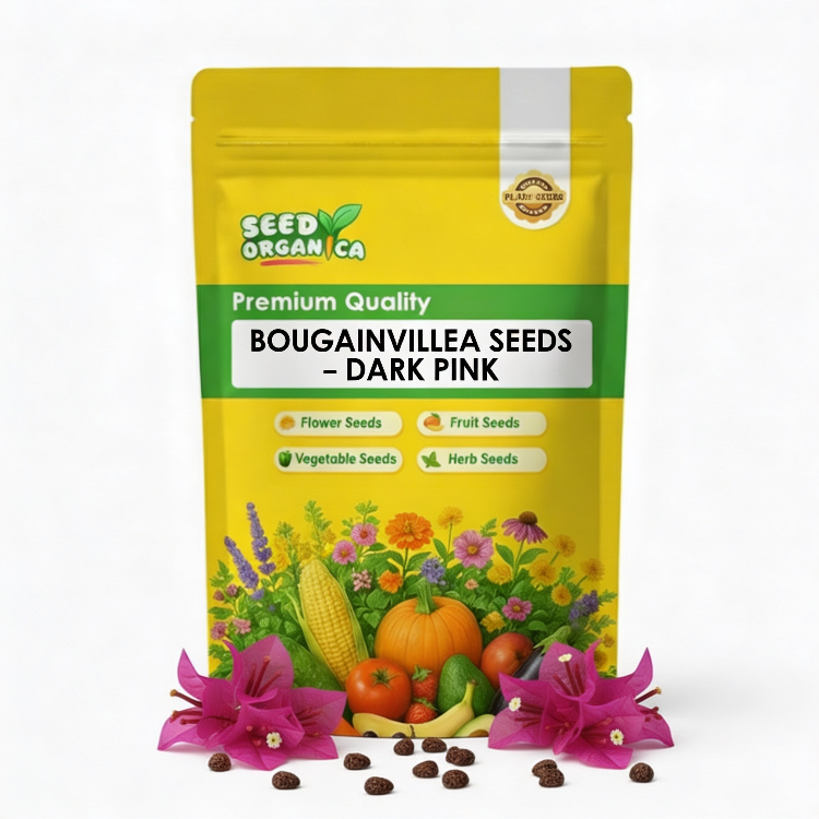 Bougainvillea Seeds – Bold Dark Pink