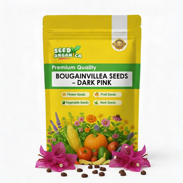 Bougainvillea Seeds – Bold Dark Pink
