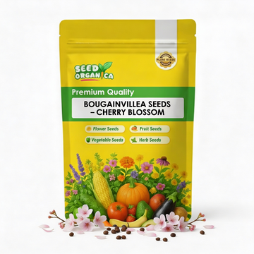 Bougainvillea Seeds – Cherry Blossom