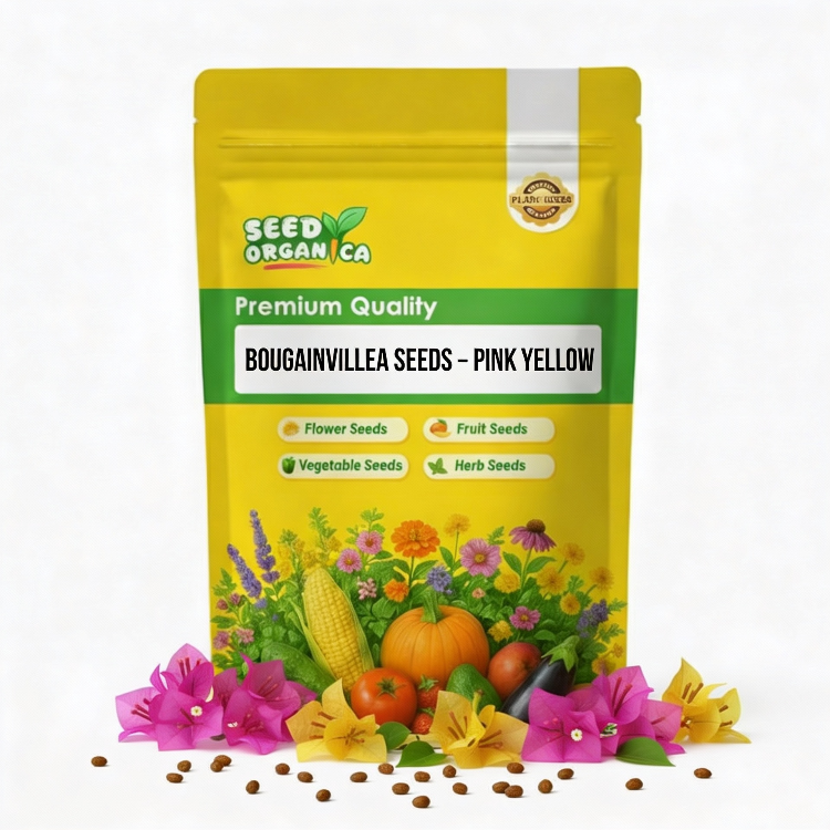 Bougainvillea Seeds – Pink Yellow