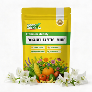 Bougainvillea Seeds – White
