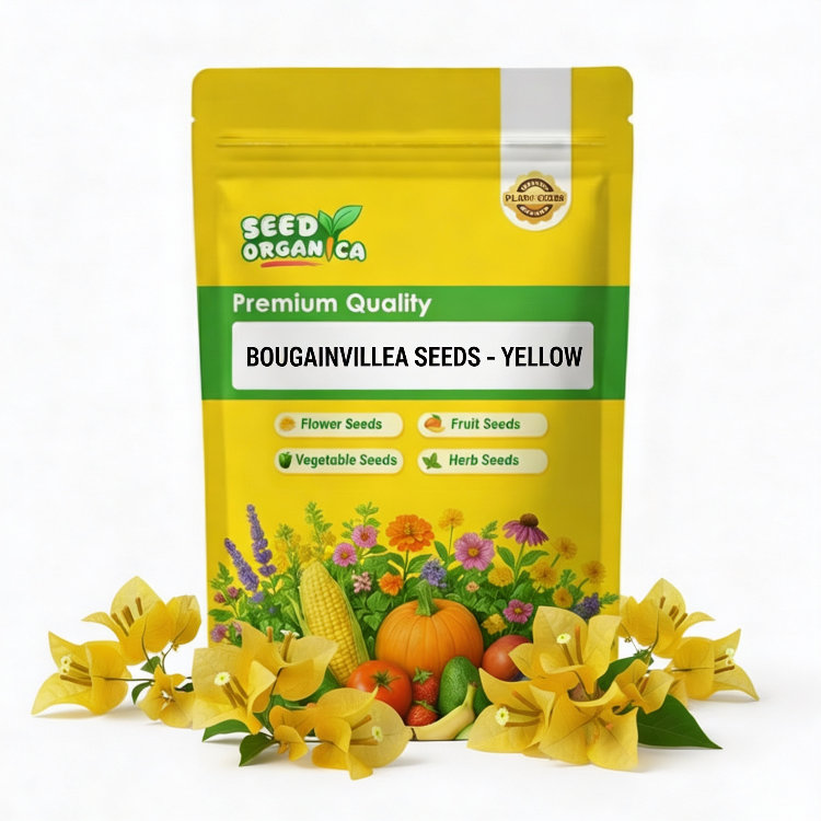 Bougainvillea Seeds – Yellow