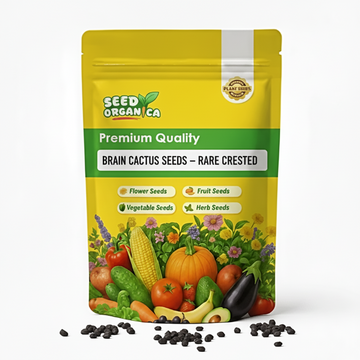 Brain Cactus Seeds – Rare Crested