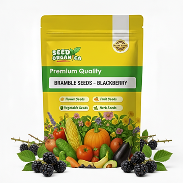 Bramble Seeds – Blackberry