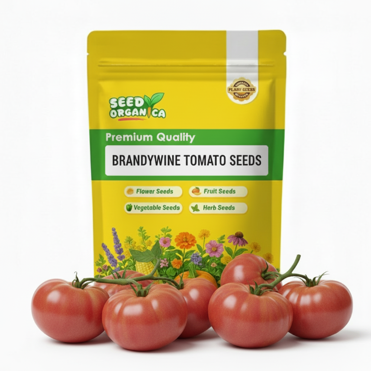 Brandywine Tomato Seeds