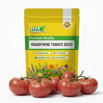 Brandywine Tomato Seeds
