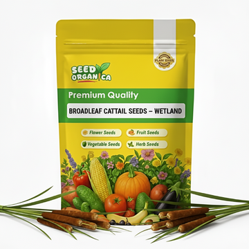 Broadleaf Cattail Seeds – Wetland