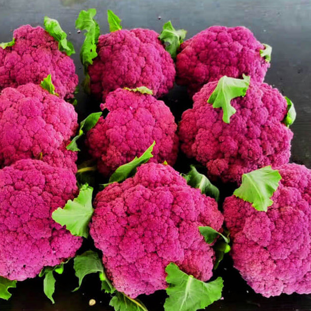Broccoli Seeds – Pink