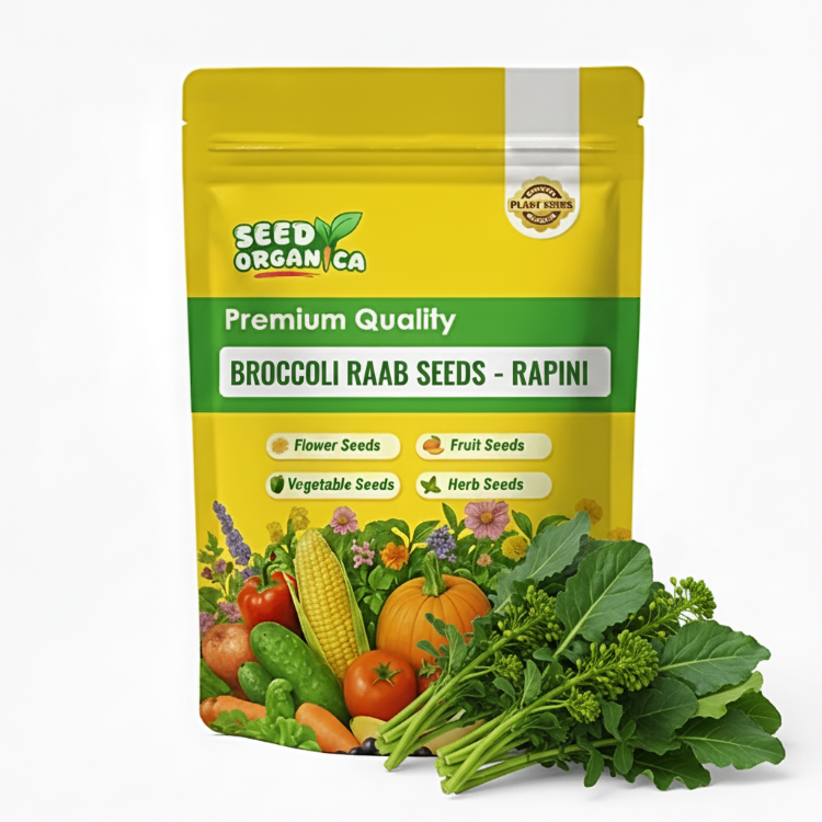 Broccoli Raab Seeds – Rapini
