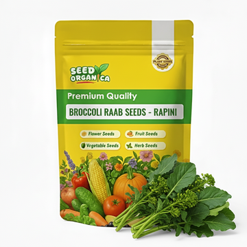 Broccoli Raab Seeds – Rapini