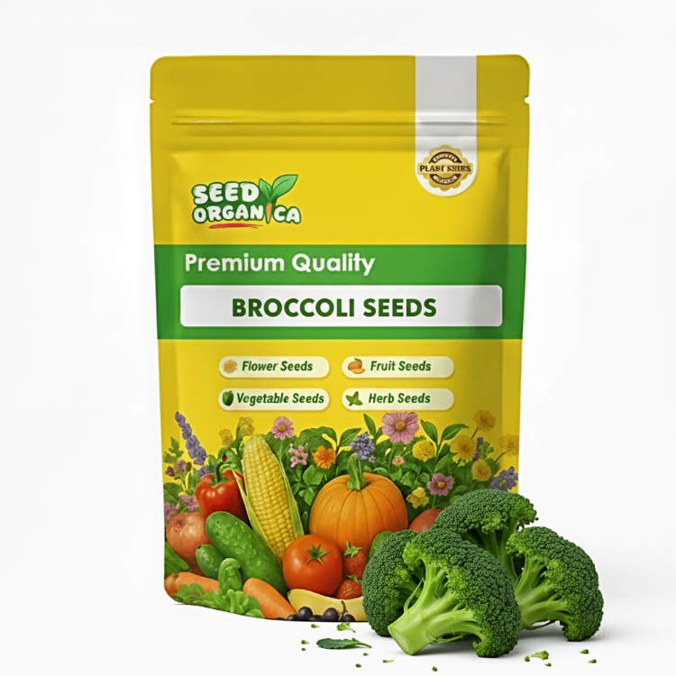 Broccoli Seeds