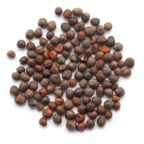 Broccoli Seeds - All In One For Home Gardens
