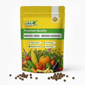 Broccoli Seeds – Brassica oleracea