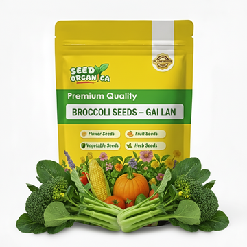 Broccoli Seeds – Gai Lan