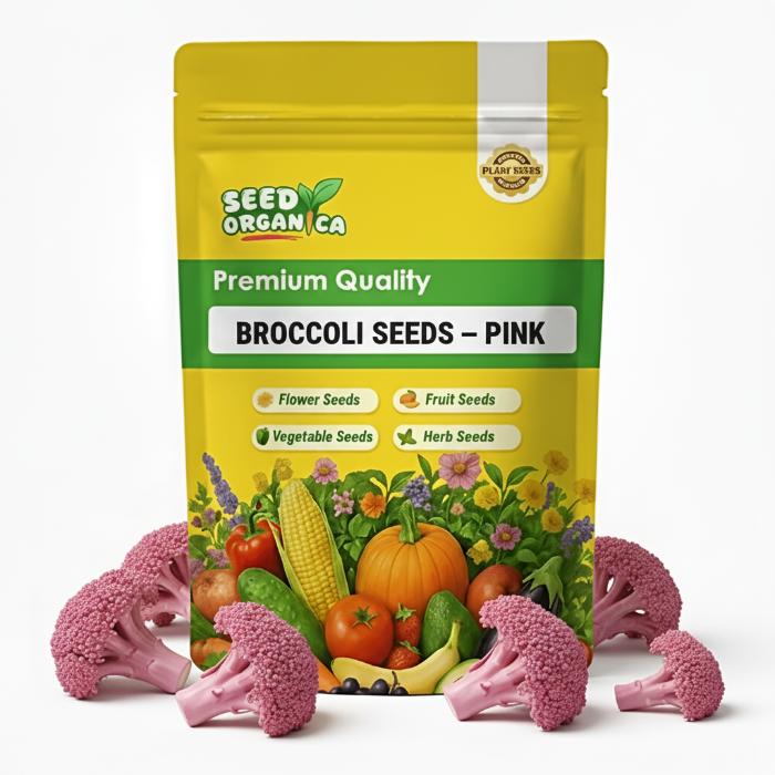 Broccoli Seeds – Pink