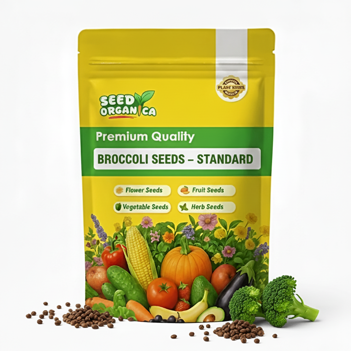 Broccoli Seeds – Standard