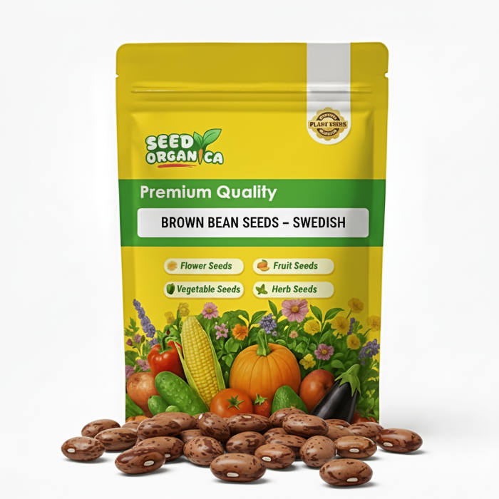 Brown Bean Seeds – Swedish