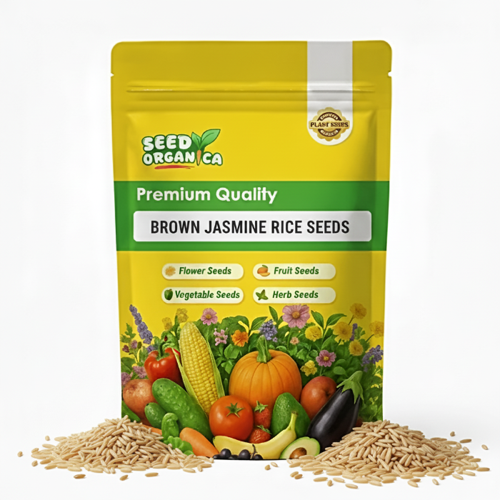 Brown Jasmine Rice Seeds