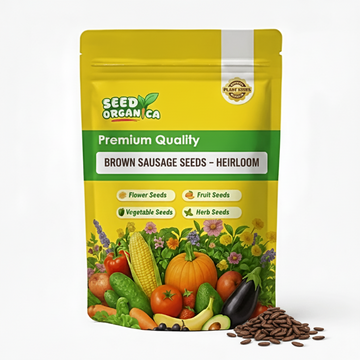 Brown Sausage Seeds – Heirloom