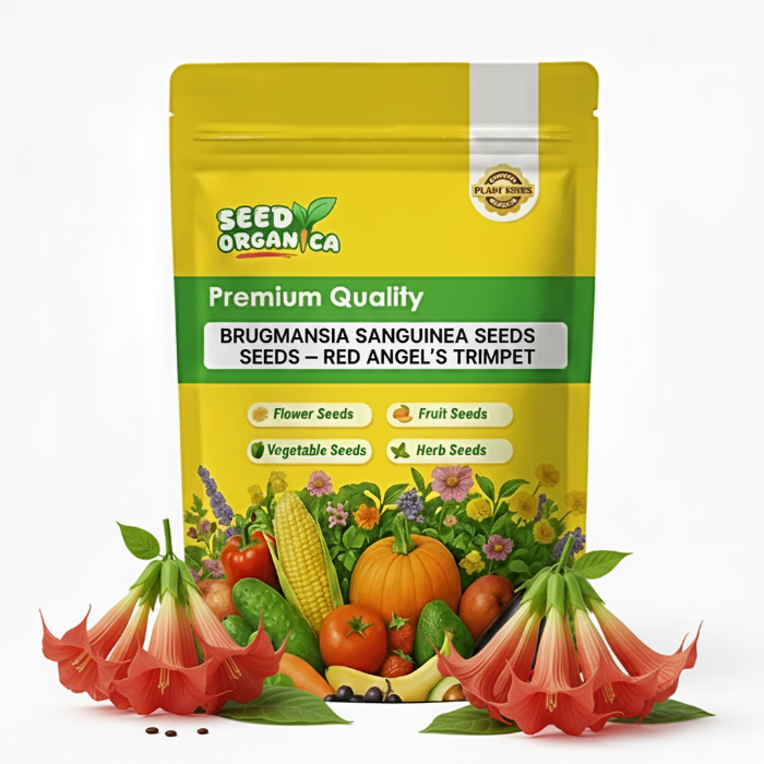 Brugmansia Sanguinea Seeds – Red Angel’s Trumpet