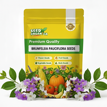 Brunfelsia Pauciflora Seeds