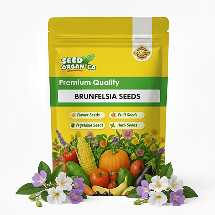 Brunfelsia Seeds